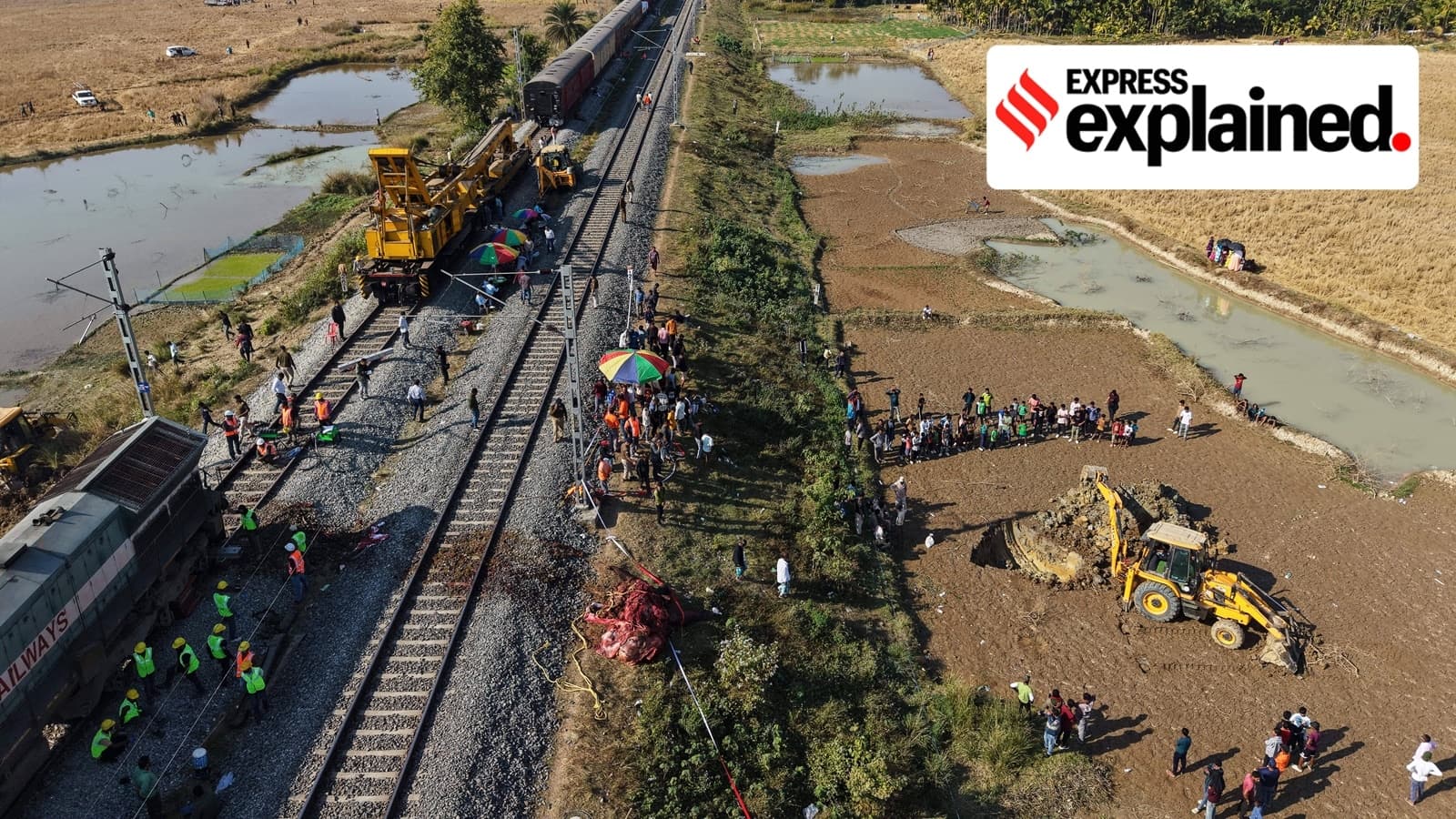 Seven elephants die in train hit in Assam: How such accidents can be prevented