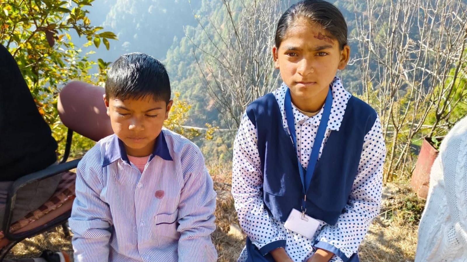 In Uttarakhand school, bear cub drags boy into jungle, 12-year-old friend comes to his rescue