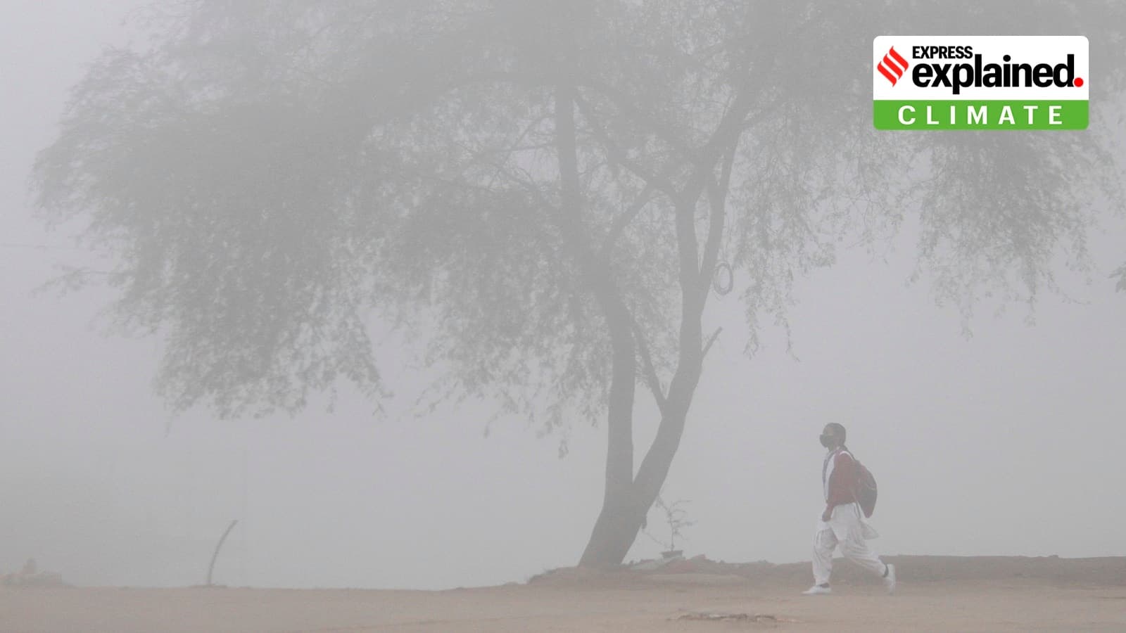 Why dense fog is lingering over Punjab, Haryana and Chandigarh for so long, even during the day