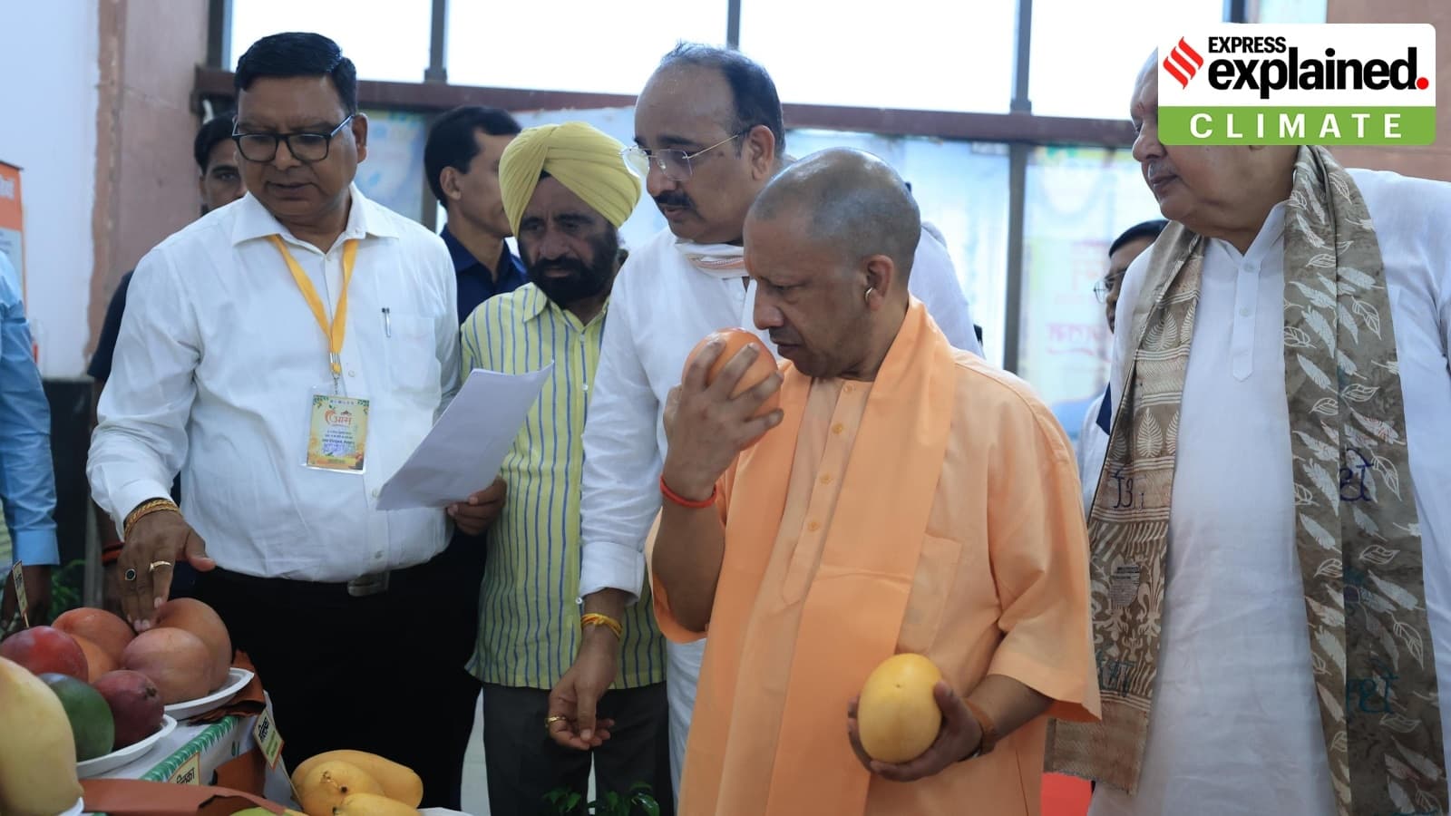 Crown under threat: How unseasonal rainfall is affecting India’s mangoes, the king of fruits