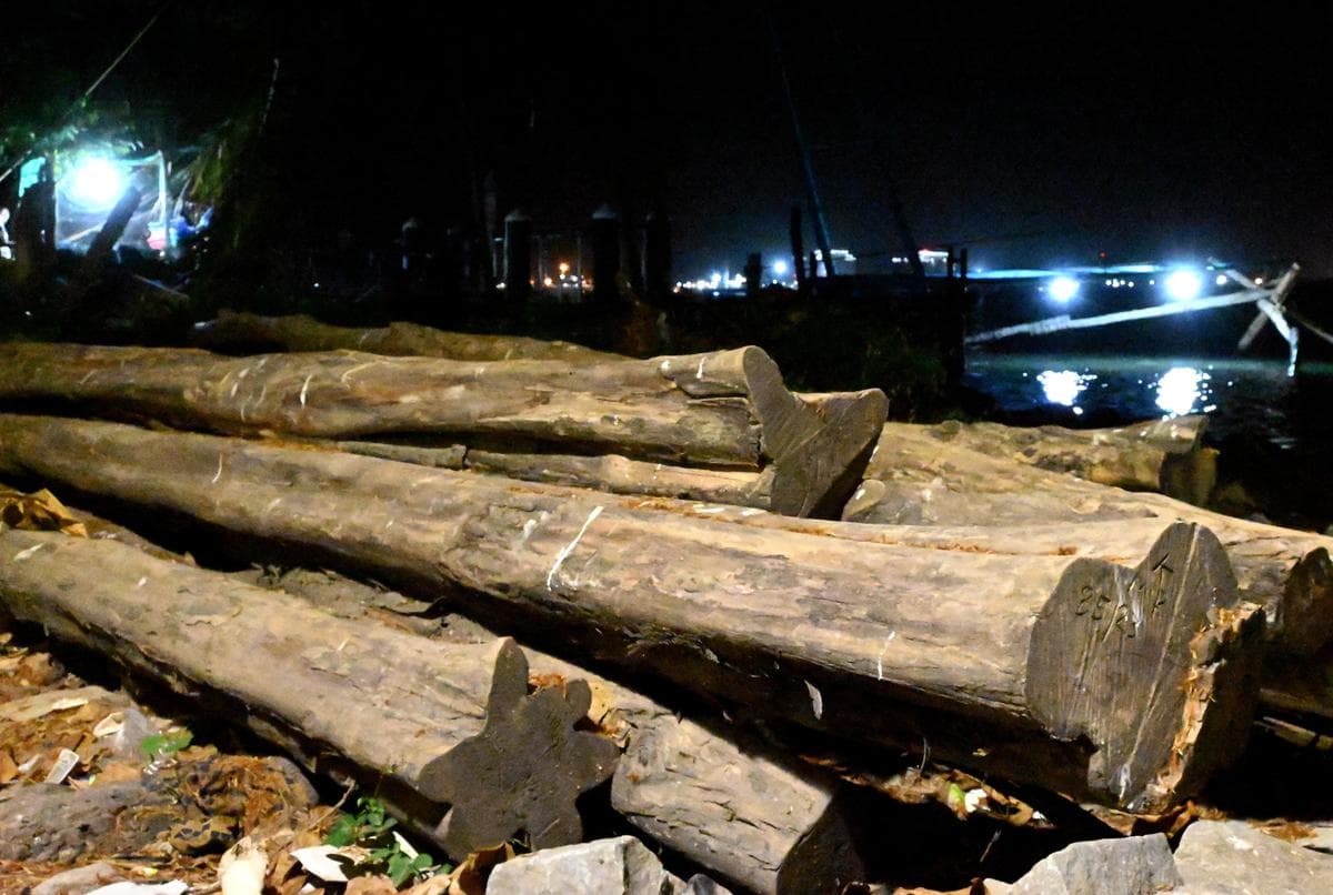 Watch: Nilambur teak logs fetch record Rs 31.85 lakh at auction