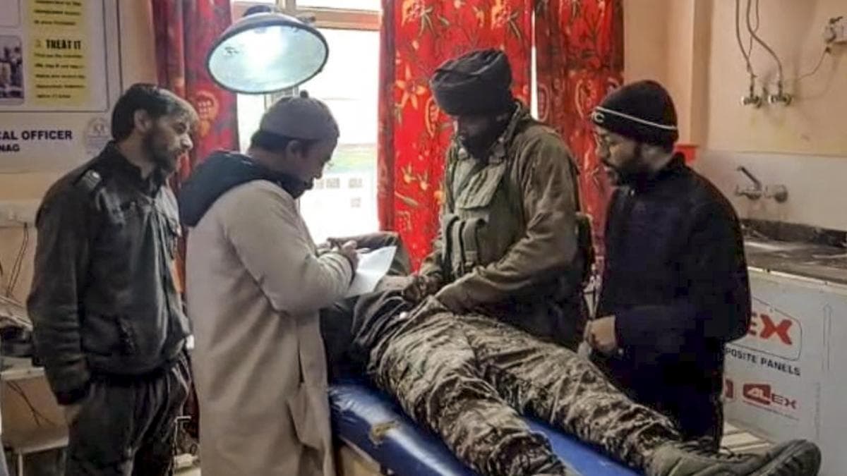 CRPF jawan injured in leopard attack at camp in south Kashmir