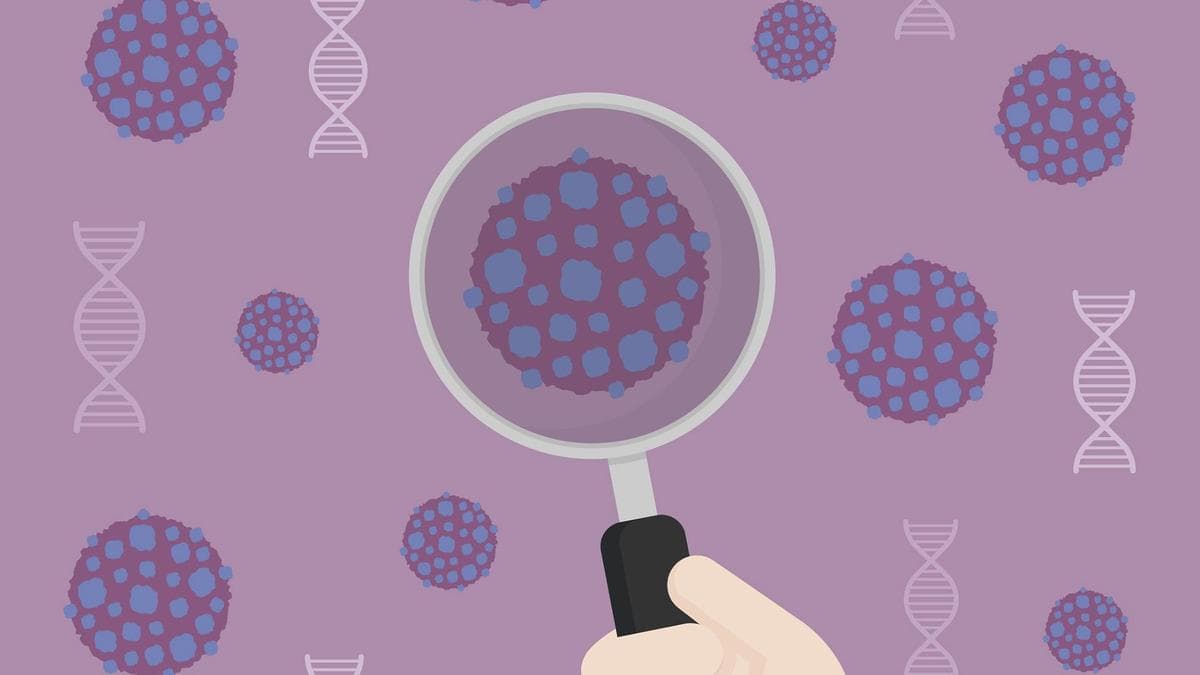 Study in mice shows fixing body rhythm in cancer may shrink tumours