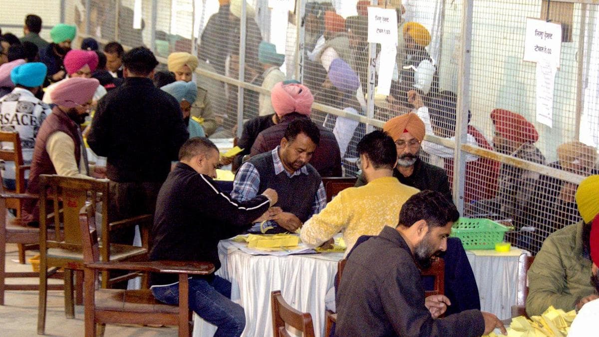 Punjab rural polls results: AAP wins over 200 zones of zila parishad, leading in panchayat samiti