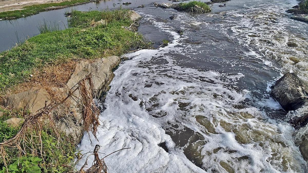 How untreated effluent discharge into rivers leads to downstream One Health impacts