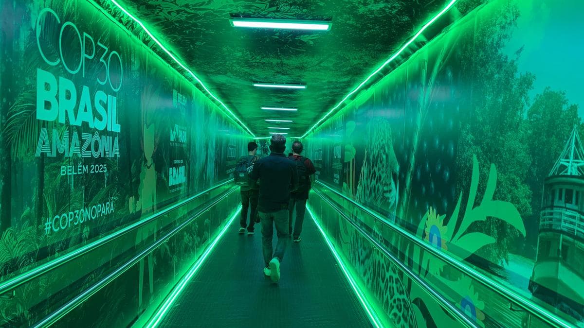 From sidelines to boardrooms: nature-based solutions, no longer ‘nice to have’