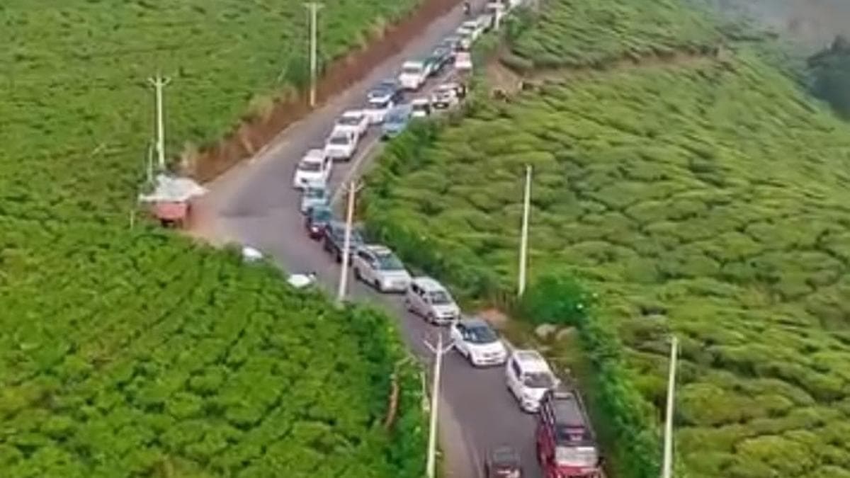 Freezing Munnar attracts Christmas-New Year tourists