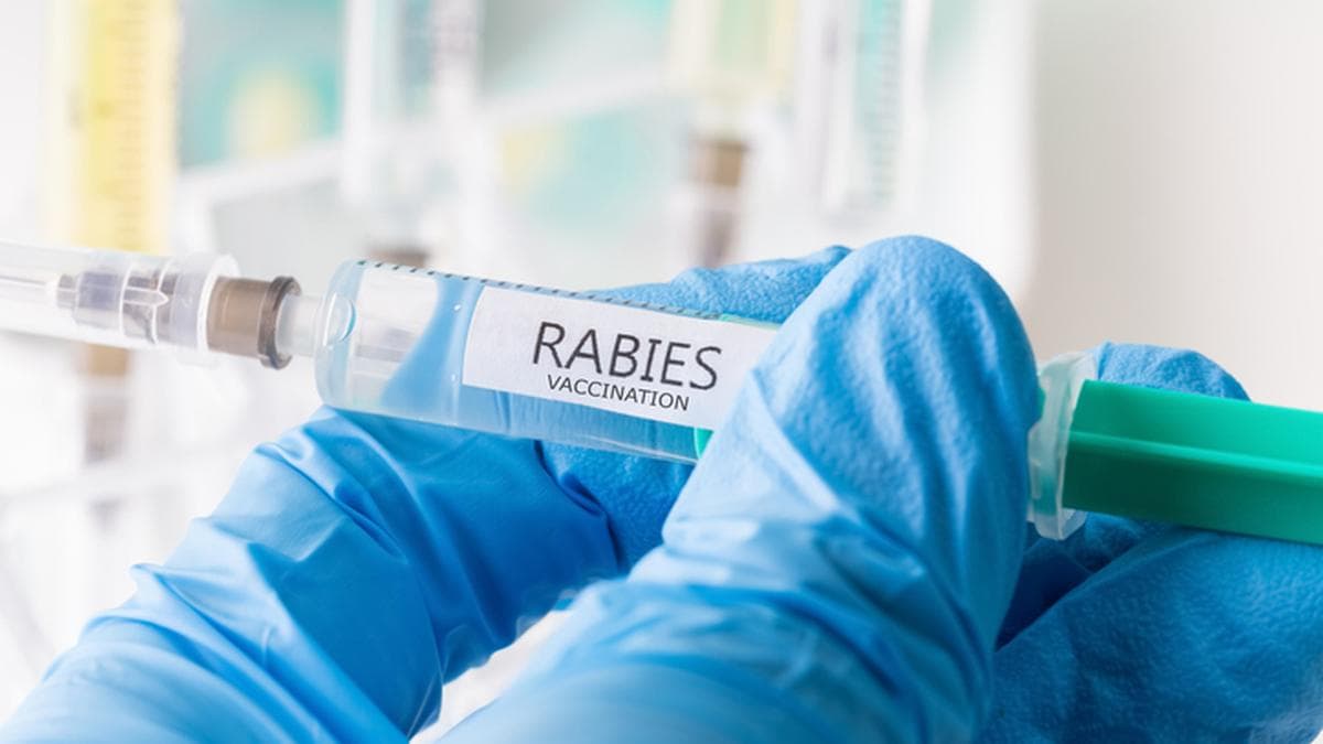 Australia issues advisory on counterfeit anti-rabies vaccine in India; pharma refutes charges